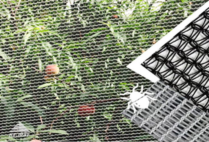 Insect Proof Net Successful Mat, AntiInsect Mesh Supplier